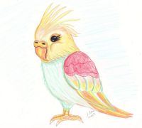 Pretty Polly